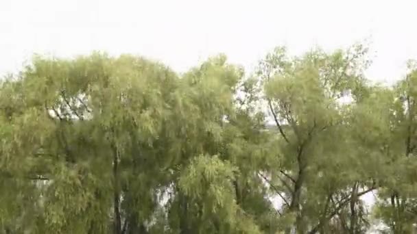 Sommar landsbygd landskap med gröna träd nära breda floden och ängar på molnig himmel bakgrund, antenn utsikt. Lagerbilder. Utsikt över picknick på landsbygden, bil parkerad vid floden stranden. — Stockvideo