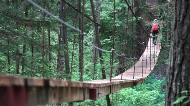 Egy férfi, aki egy függőhídon sétál a Nemzeti Parkban, USA. Készletfelvétel. Hátsó kilátás egy férfi túrázó hátizsák túrázás az erdőben zsanér híd — Stock videók