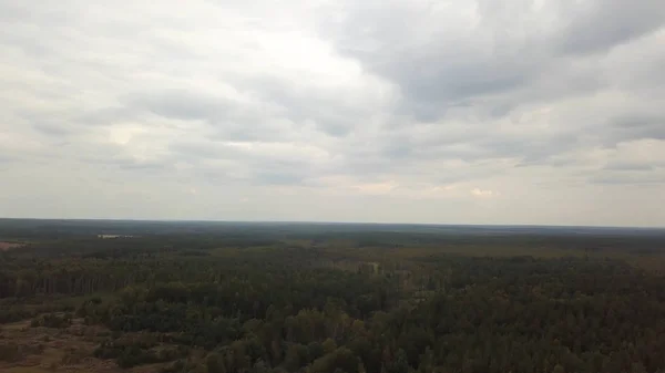 Luftaufnahme des Frühherbstwaldes und des schweren grauen Himmels darüber. Archivmaterial. Flug über dichten Mischwald, natürliche Landschaft. — Stockfoto