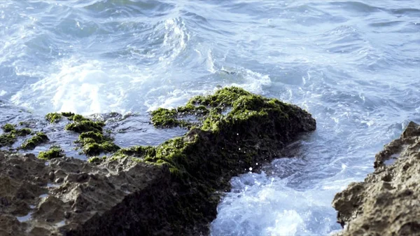 Poderosas olas en una playa rocosa. Imágenes de archivo. Las piedras están cubiertas de musgo verde con las olas del mar en el fondo . — Foto de Stock