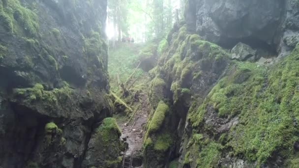 People on steep rocky cliffs covered by green moss in morning fog. Stock footage. Aerial of the deep gorge between two mountain slopes in the forest. — Stock Video