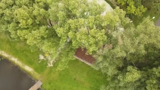 Aerial view of summer forested park near lake with wooden pier. Stock footage. Flying over green trees and water surface on a summer day. — Stock Video