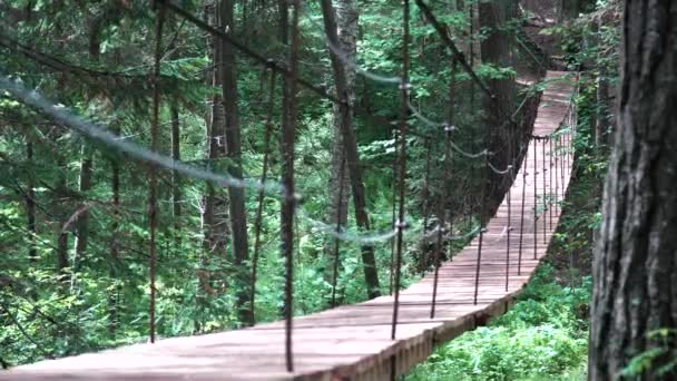 Un puente colgante en el sendero a través de un bosque verde denso con un viajero hombre con mochila roja. Imágenes de archivo. Vista trasera de un hombre cruzando el puente colgante . — Vídeos de Stock