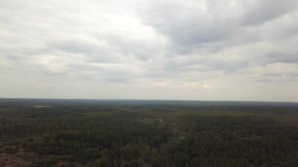 Vue aérienne de la forêt du début de l'automne et du ciel gris épais au-dessus. Images d'archives. Survoler la forêt verte dense mixte, paysage naturel .