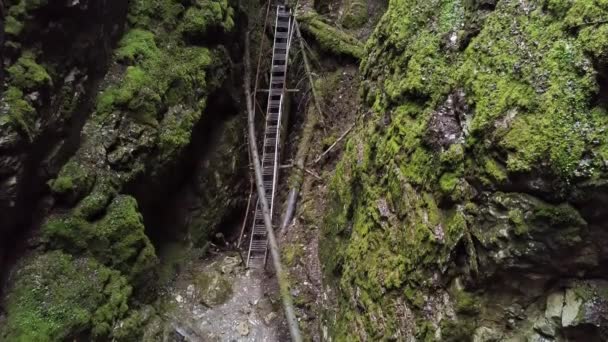 Dangerous trail through the deep gorge in green forest in the summertime. Stock footage. Top aerial view of the steep mountain slopes covered by green moss.