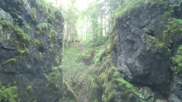 Mensen op steile rotsachtige kliffen bedekt met groen mos in de ochtendmist. Voorraadbeelden. Luchtfoto van de diepe kloof tussen twee berghellingen in het bos. — Stockvideo
