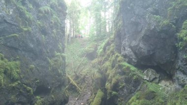 Dik kayalıklardaki insanlar sabah sisinde yeşil yosunlarla kaplanmış. Stok görüntüleri. Ormandaki iki dağ yamacı arasındaki derin vadi havası..