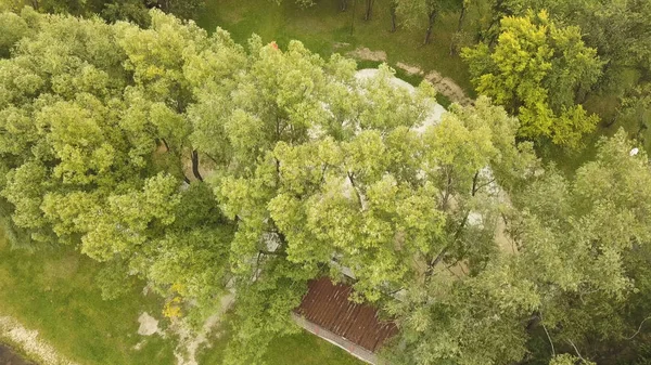 Aerial view of summer forested park near lake with wooden pier. Stock footage. Flying over green trees and water surface on a summer day. — Stock Photo, Image