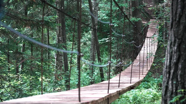 A suspension bridge on hiking trail through green dense forest with a man traveler with red backpack. Stock footage. Rear view of a man crossing the hanging bridge.