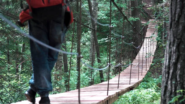 Man går på en hängbro i nationalparken, Usa. Lagerbilder. Bakifrån av en man vandrare med ryggsäck vandring i skogen med gångjärnsbro — Stockfoto