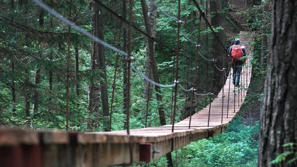 En hängbro på vandringsled genom grön tät skog med en man resenär med röd ryggsäck. Lagerbilder. Bakifrån på en man som korsar hängbron. — Stockfoto