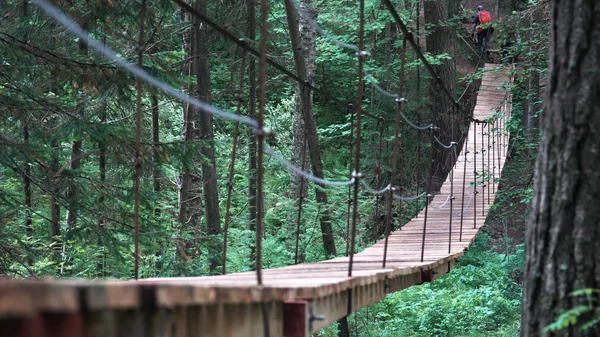 Rückansicht eines Mannes, der auf einer hängenden Holzbrücke im grünen Sommerwald steht. Archivmaterial. Mann wandert im Nationalpark. — Stockfoto