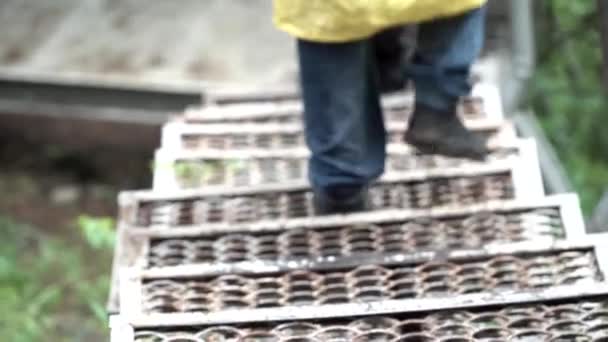 Bovenaanzicht van een wandelaar die de metalen trap afloopt in het bos. Voorraadbeelden. Close-up van reizigers benen op het pad in het nationale park. — Stockvideo