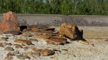Taş ocağında ve yeşil orman arka planında yaz güneşi altında farklı büyüklükte güzel kahverengi taşlar. Stok görüntüleri. Yeşil ağaçların önünde yerde kayalar var..