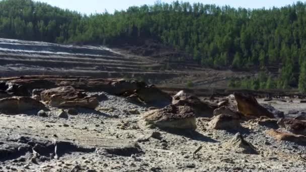 Grus stenbrott med skog på bakgrunden. Lagerbilder. Gammal trädstam och stenar vid stenbrottet en solig sommardag. — Stockvideo