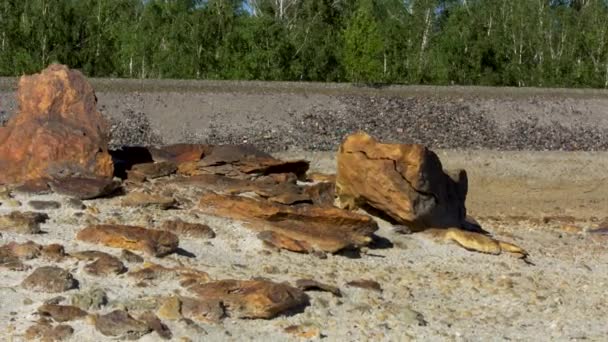 Schöne braune Steine unterschiedlicher Größe unter der Sommersonne auf Steinbruch und grünem Waldhintergrund. Archivmaterial. Steine, die vor grünen Bäumen auf dem Boden liegen. — Stockvideo