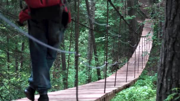 Zadní pohled na muže stojícího na visícím dřevěném mostě v zeleném letním lese. Záběry ze skladu. Muž pěší turistika v národním parku. — Stock video