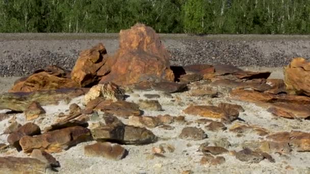 Beautiful brown stones of diferent size under the summer sun on quarry and green forest background. Stock footage. Rocks lying on the ground in front of green trees. — Stock Video