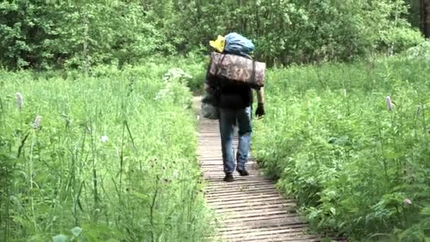 Vista trasera de un hombre con mochila pesada caminando en el paseo marítimo a través del campo de hierba verde. Imágenes de archivo. Caminante masculino caminando por un sendero de madera a través de un prado que conduce al bosque . — Vídeos de Stock