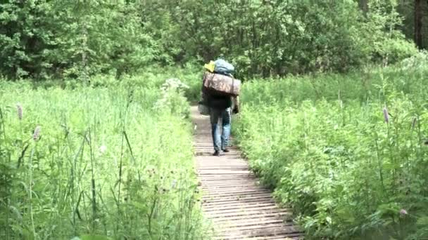 Rear view of a man with heavy backpack walking on boardwalk through green grass field. Stock footage. Male hiker walking on wooden path through a meadow leading into forest. — 비디오