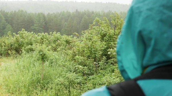 Vista trasera de un hombre en impermeable brillante mirando el bosque y el prado y la fuerte lluvia. Imágenes de archivo. Primer plano de un excursionista esperando cuando la lluvia se detendrá . — Foto de Stock