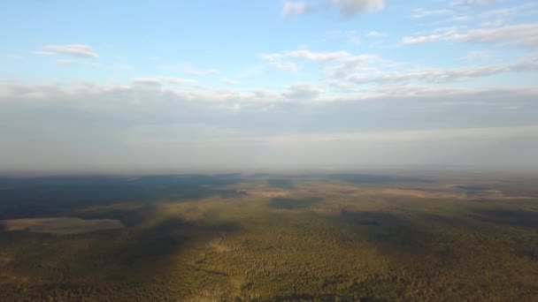 白い雲と青空の下で無限の森の空中ビュー。ストック映像だ初夏に緑の木々や畑が広がる自然景観. — ストック動画
