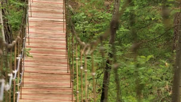 Kilátás az üres fa felfüggesztés híd az erdőben a Nemzeti Park, Tanzánia. Készletfelvétel. Gyönyörű fa lóg híd ingadozik a lépések után. — Stock videók