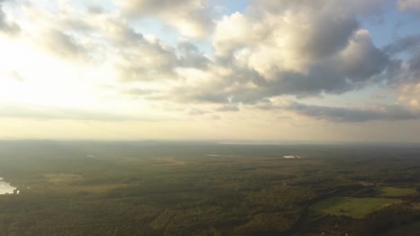 Воздушная панорама яркого пейзажа с полями, лесами и красивым ярко-голубым небом с белыми облаками. Запись. Летающие над лугами и зелеными соснами густой лес . — стоковое видео