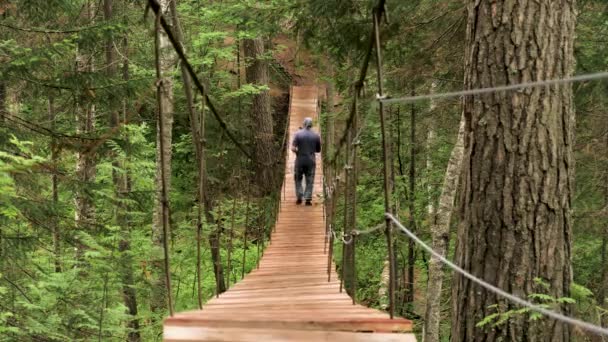 Túrázás a zöld trópusi dzsungelben, Közép-Amerikában. Készletfelvétel. Hátsó kilátás egy férfira, aki zöld erdővel körülvéve átkel a függőhídon. — Stock videók