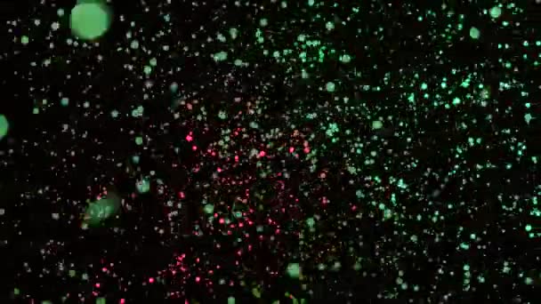 Verschwommene Neonpartikel, die auf schwarzem Hintergrund rotieren. Animation. schöner abstrakter Hintergrund mit chaotischer Bewegung heller verschwommener Teilchen wie im Weltraum — Stockvideo
