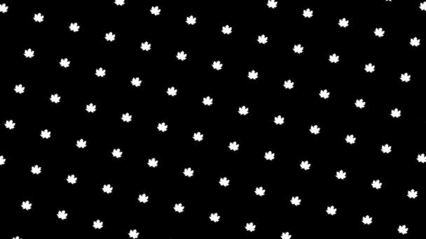 Abstrakte weiße Baumblätter, die isoliert auf schwarzem Hintergrund fließen, nahtlose Schleife. Animation. Reihen kleiner Blütenblätter, die sich leicht bewegen und wiegen, monochrom. — Stockvideo