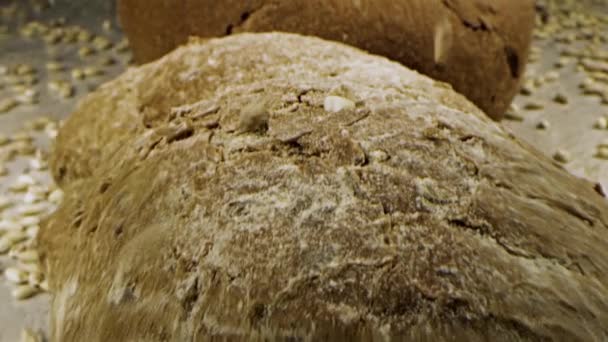 Granos en pan fresco. Imágenes de archivo. Granos caen encima de pan fresco casero — Vídeos de Stock