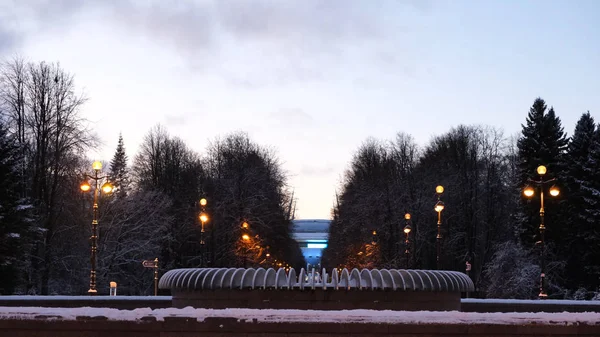 Uitzicht op het besneeuwde winterpark met een lantaarn. Concept. Winter besneeuwde Park met een fontein en lantaarns — Stockfoto