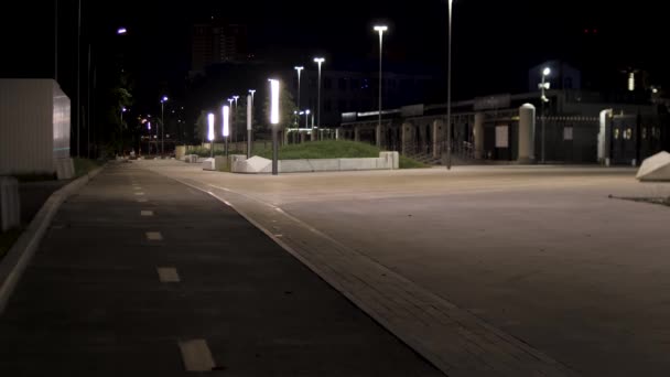 Nocny park miejski i pusty brukowany chodnik w pobliżu zielonej alejki. Materiał filmowy. Ścieżka w parku późnym wieczorem wzdłuż latarni. — Wideo stockowe