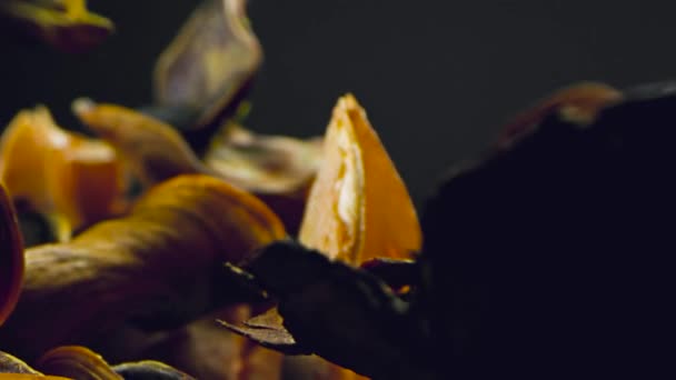 Piel seca de verduras y pétalos de flores secas. Imágenes de archivo. Producción de bodegones en primer plano con cáscaras de verduras secas y podridas y pétalos de flores. Bodegón con plantas secas de otoño — Vídeos de Stock