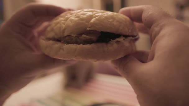 Chat et homme avec de la nourriture. Images d'archives. Gros plan d'un homme tenant un hamburger sur fond de chat. Cat montres homme sur le point de manger hamburger à la maison — Video