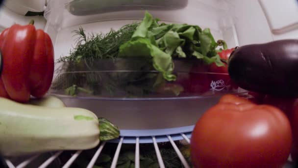 Primer plano de las verduras dentro del refrigerador. Imágenes de archivo. Vista desde el interior del refrigerador simple lleno de verduras. Comida saludable y muchas verduras — Vídeo de stock