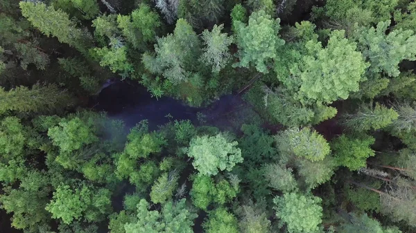 Flygdrönare syn på svart bränt skogsområde med stigande upp vit rök, ekologi och naturkatastrof koncept. Lagerbilder. Ovanifrån marken efter branden täckt med ett svart lager av brinnande — Stockfoto