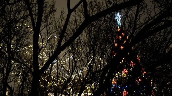 Vacker stad julgran med kransar på bakgrunden av mörk natthimmel. Begreppet. Vacker ljus julgran med kransar på molnig vinterdag — Stockfoto