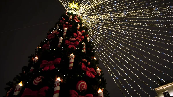 Vánoční stromeček světla a dekorace na pozadí noční oblohy. Koncept. Spodní pohled na smrk se svíčkami a stuhami. — Stock fotografie