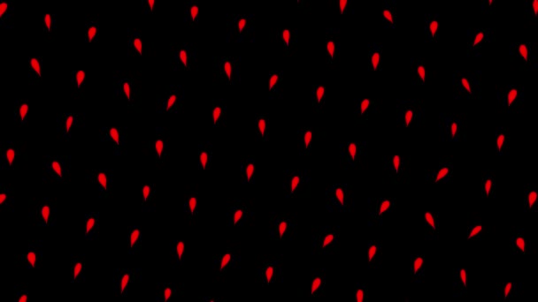 Pétalos abstractos girando y moviéndose hacia arriba aislados sobre fondo negro. Animación. Fondo de movimiento con hileras de hojas rojas . — Vídeos de Stock