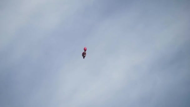 Giocattolo palla vola sullo sfondo del cielo blu. Azione. La palla di gel sola in forma di giocattolo vola alta in cielo azzurro. Qualcuno ha lasciato andare il palloncino al festival e vola verso il cielo — Video Stock