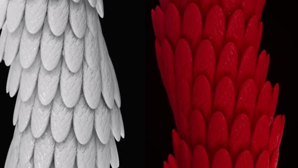 Tubos anchos blancos y rojos abstractos cubiertos por plumas de pájaro brillantes, lazo sin costuras. Animación. Plumas ovaladas brillantes que cubren tubos de contraste de flexión . — Vídeos de Stock