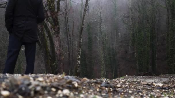 Tylny widok człowieka stojącego przed jesiennym lasem pod deszczem. Materiał filmowy. Zimna jesień pogoda i mgliste mokre drzewa pod intensywnym deszczem. — Wideo stockowe