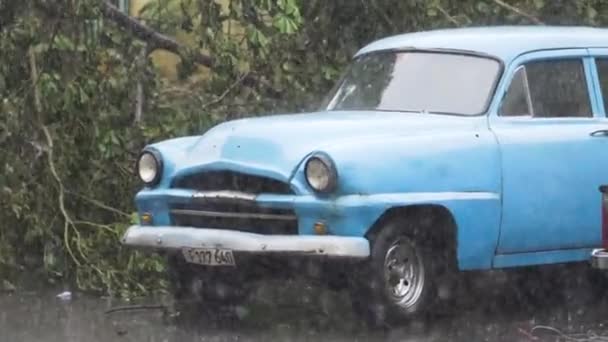 Retro auto stojí v dešti na pozadí zelených stromů. Akce. Malé retro auto stojí pod lijákem v přírodě. Krásné pracovní staré auto v přírodě v dešti — Stock video