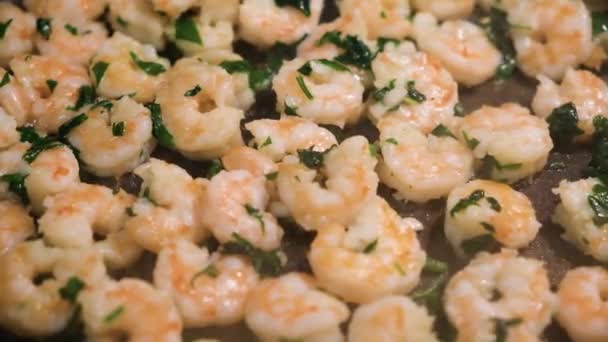 Close-up of prawns being fried in a frying pan. Concept. Prawns being fried in the pan with garlic and parsley — Stock Video