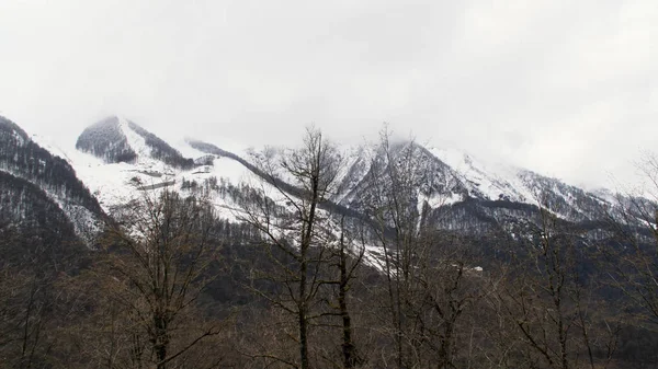 Εναέρια από καραφλές κορυφές δέντρων και ψηλά χιονισμένα βουνά που καλύπτονται από βαριά σύννεφα. Στικ. Χειμερινό τοπίο με ψηλούς λόφους και χειμερινό δάσος. — Φωτογραφία Αρχείου