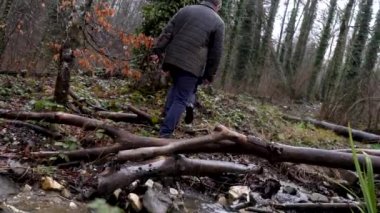 Rural landscape with late autumn forest under the rain on cloudy sky background. Stock footage. Rear view of two men walking along cut down trees and bald trees covered by fog.