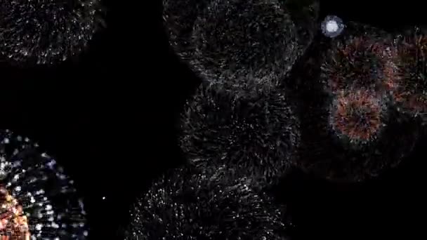 Abstrakt färgglada fyrverkerier exploderar på svart bakgrund, sömlös loop. Animering. Vackra gnistrar visas i den svarta natthimlen, firande koncept. — Stockvideo