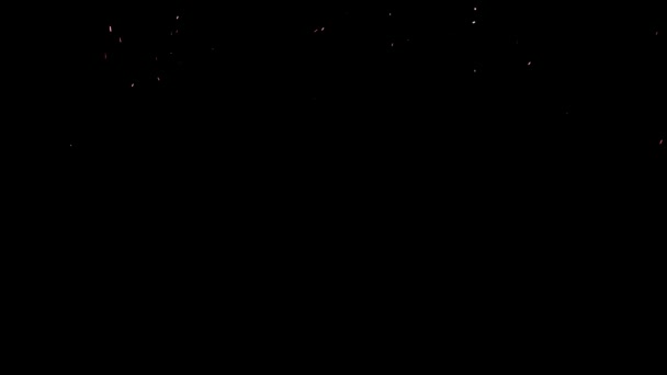 Particules de cendres abstraites flottant sur fond noir. Animation. Particules de poussière blanche ou flocons de neige se déplaçant lentement et tombant .